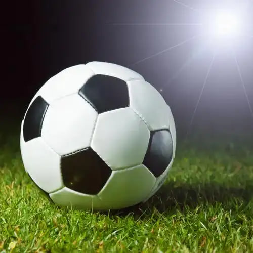 青训球队管理分析